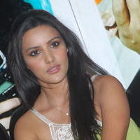 PRIYA ANAND CUTE PHOTOS AT 180 SUCCESS MEET | Picture 43484